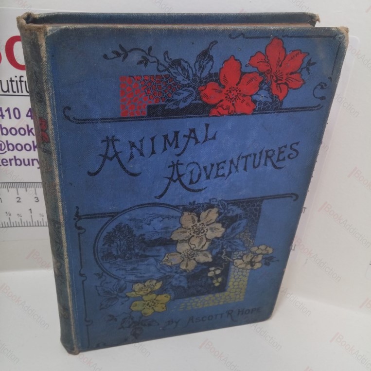 Animal Adventures