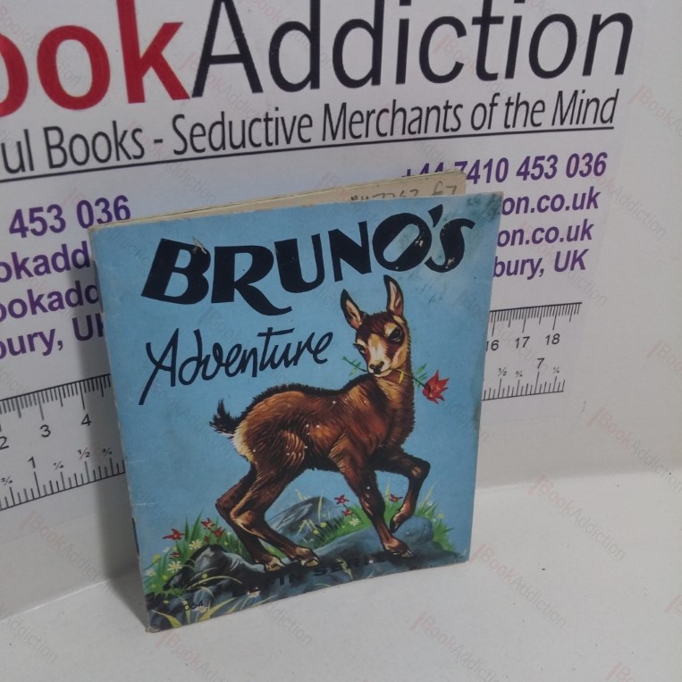 Bruno’s Adventure