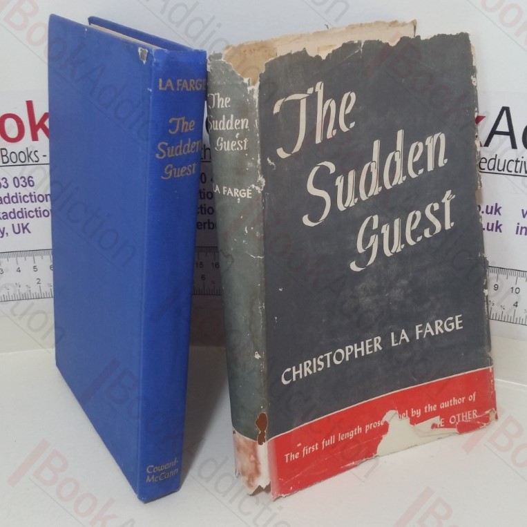 The Sudden Guest