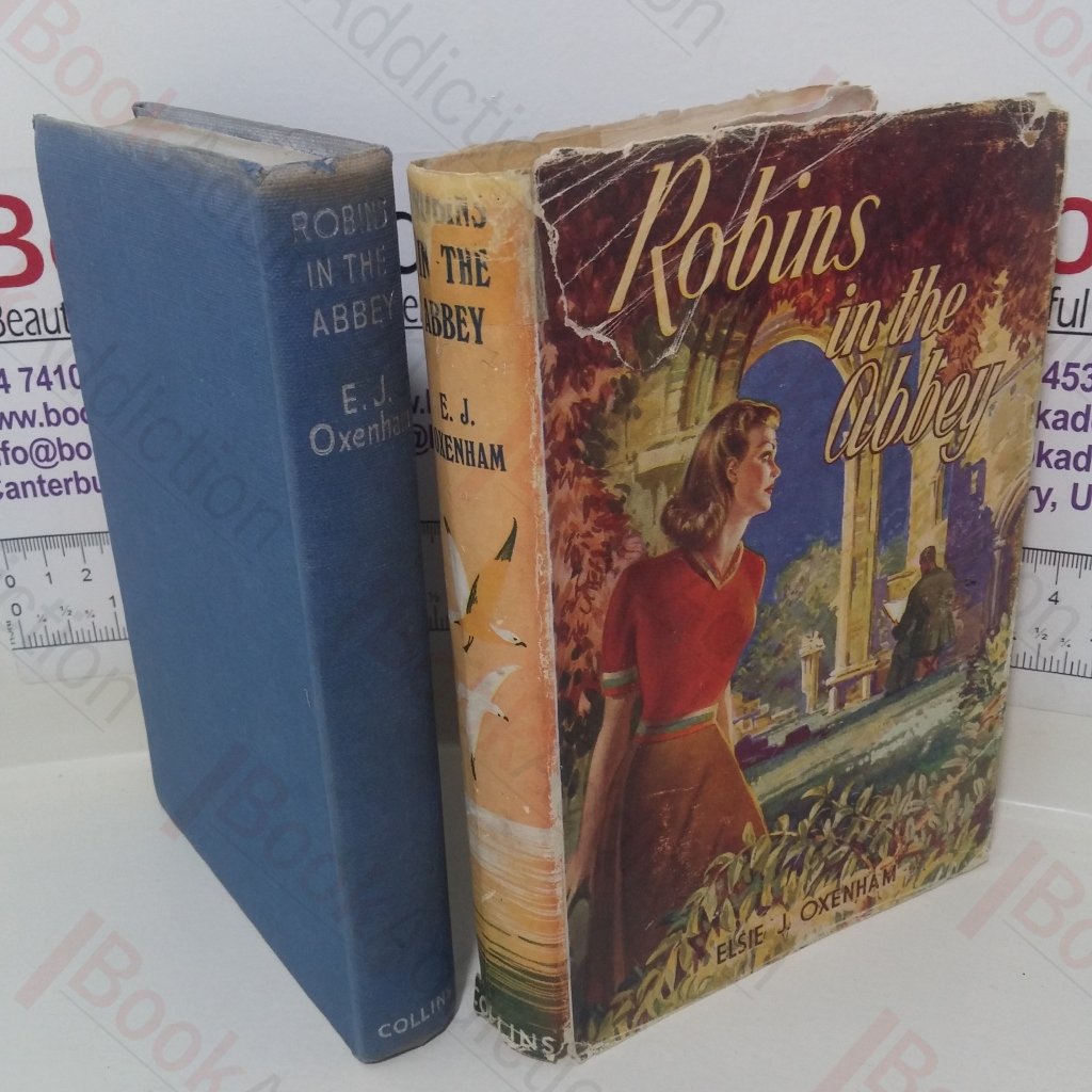 Robins in the Abbey (The Abbey School series)