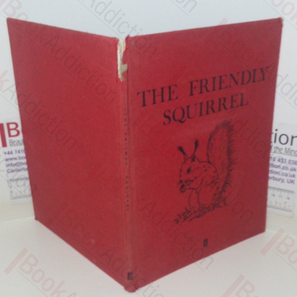The Friendly Squirrel