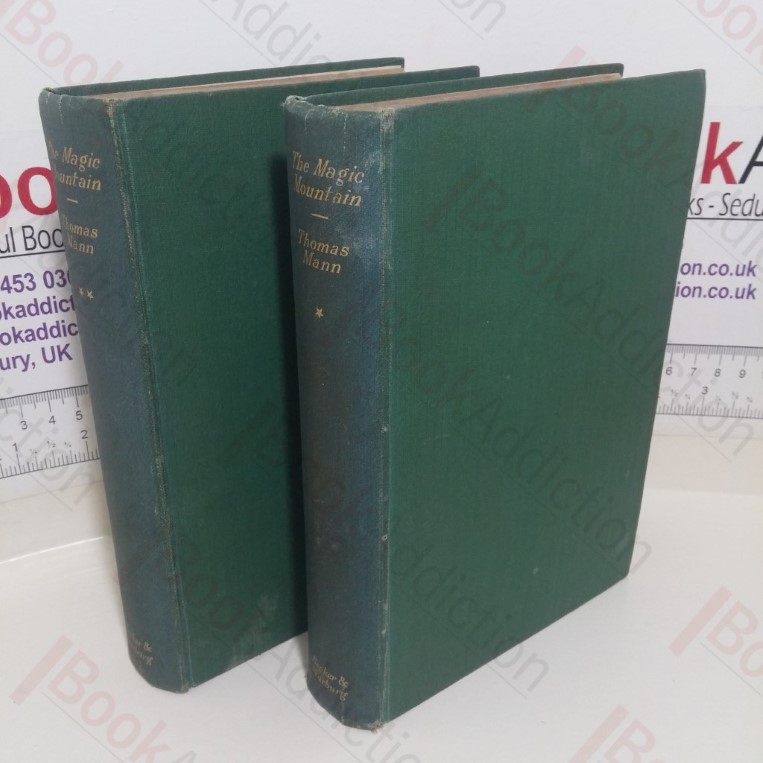 The Magic Mountain (Volumes One and Two)