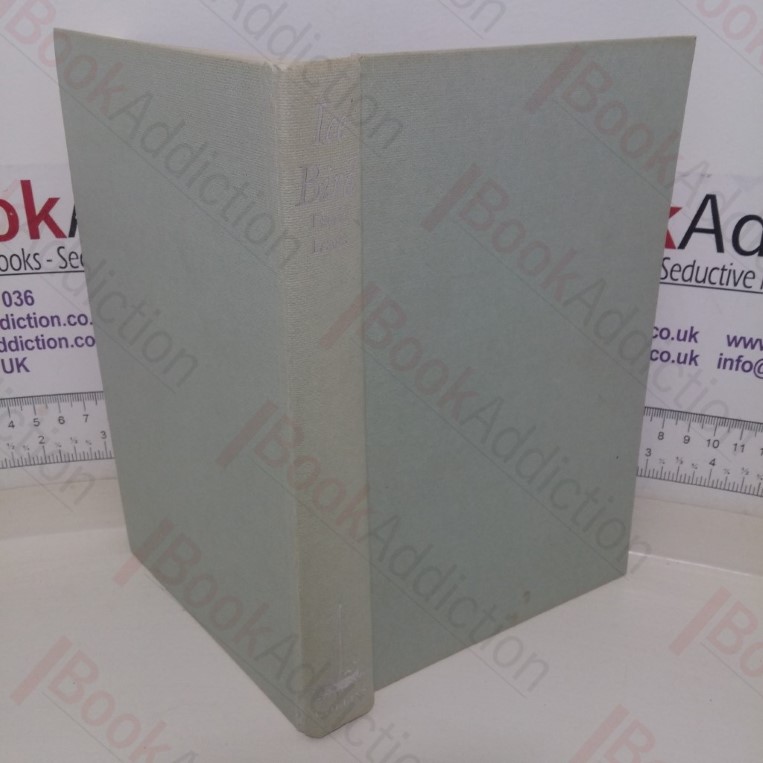 Ice Bird: The First Single-Handed Voyage to Antarctica: First Single-handed Navigation of Antarctica