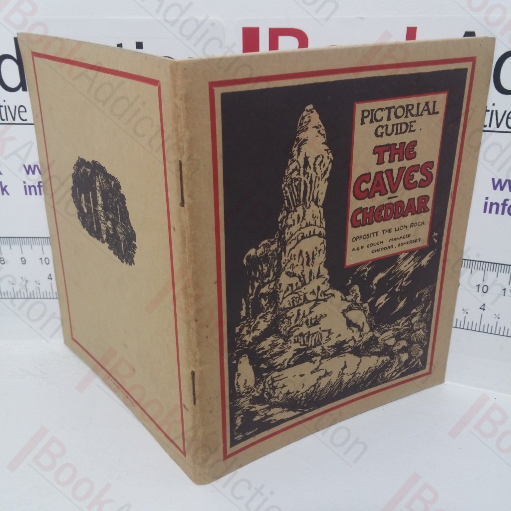 Pictorial Guide: The Cheddar Caves – Opposite the Lion Rock