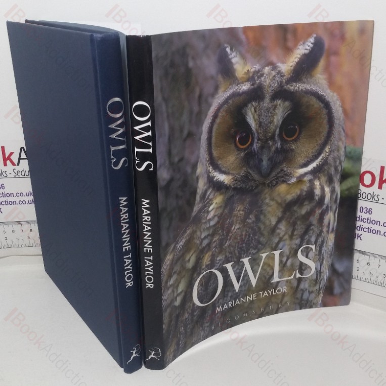 Owls