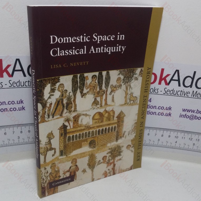 Domestic Space in Classical Antiquity (Key Themes in Ancient History series)