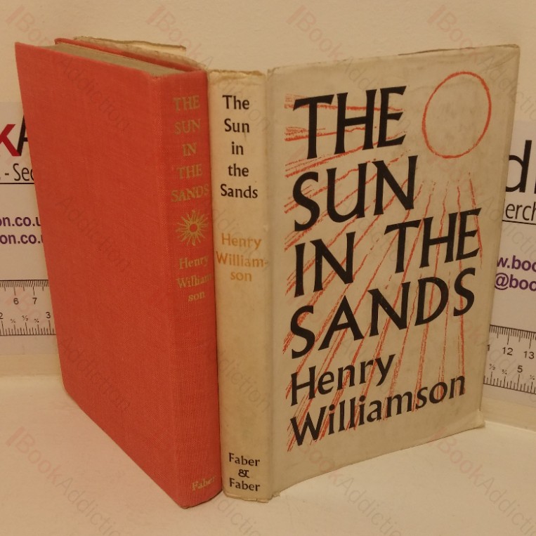 The Sun in the Sands
