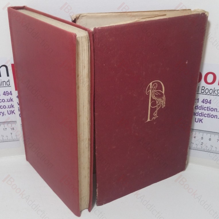 An Ambassador in Bonds