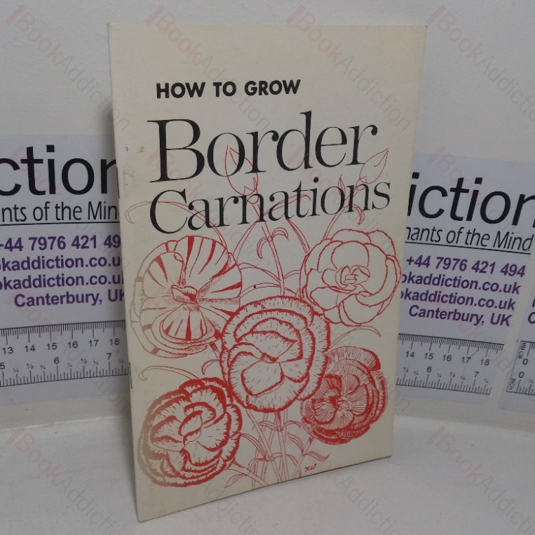 How to Grow Border Carnations