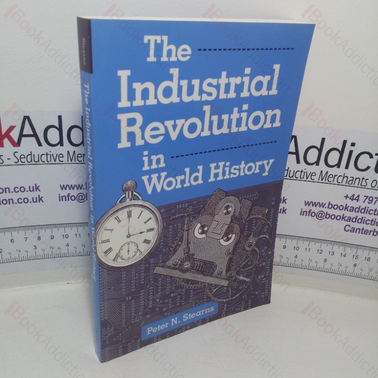 The Industrial Revolution in World History (Essays in World History series)