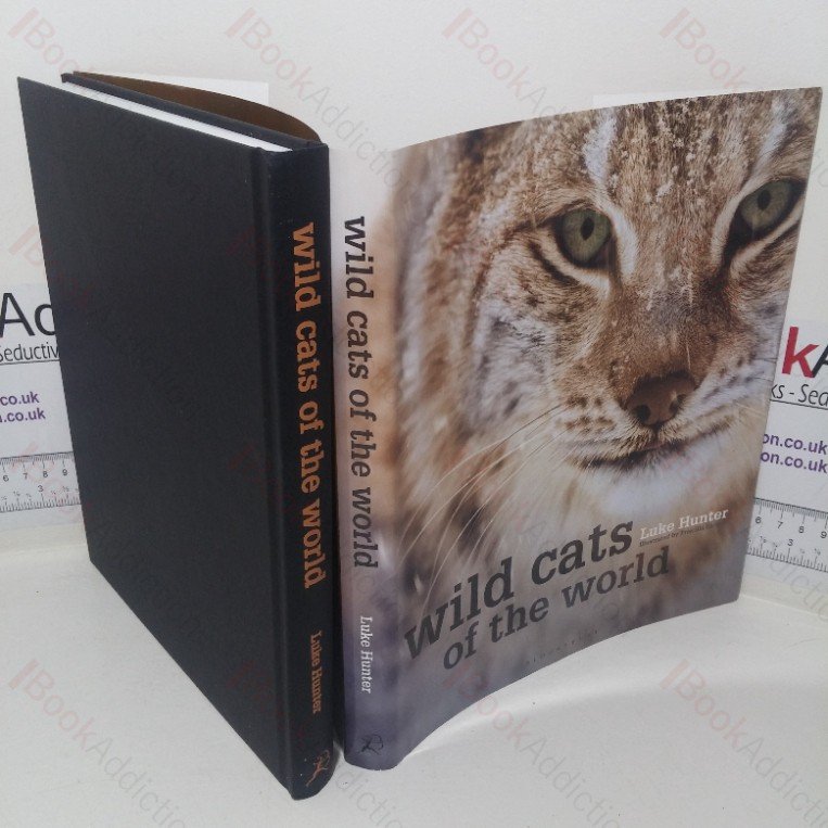 Wild Cats of the World