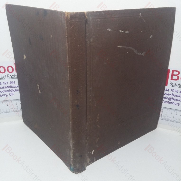 The Techniques of Pastel Painting