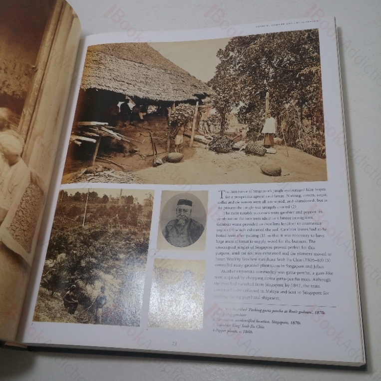 Singapore: A Pictorial History, 1819-2000 - BookAddiction