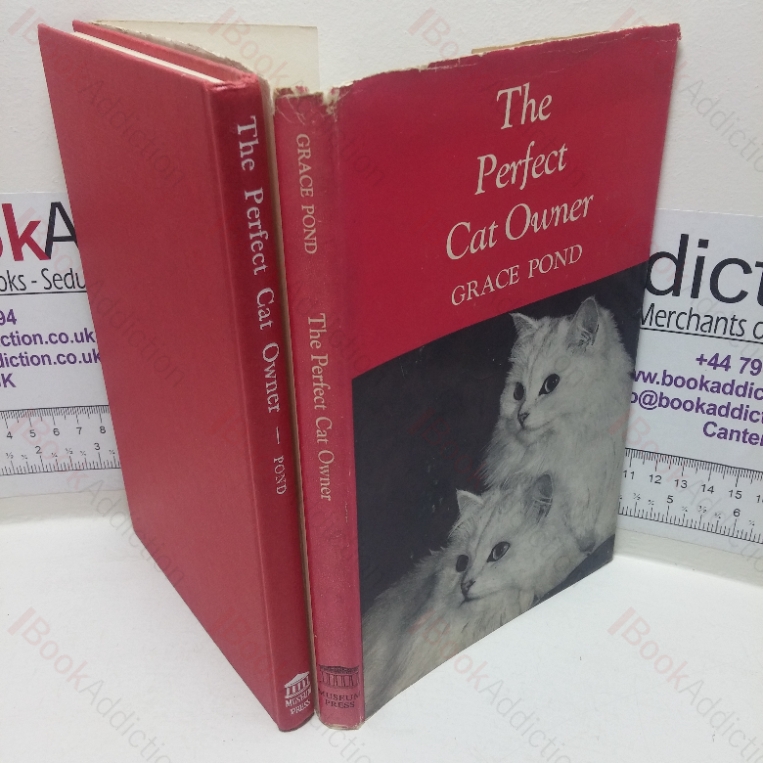 The Perfect Cat Owner