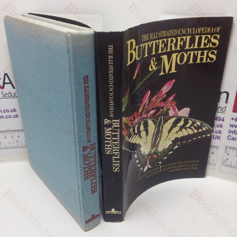 The Illustrated Encyclopaedia of Butterflies and Moths