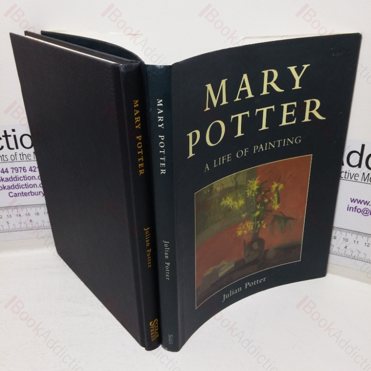 Mary Potter: A Life of Painting