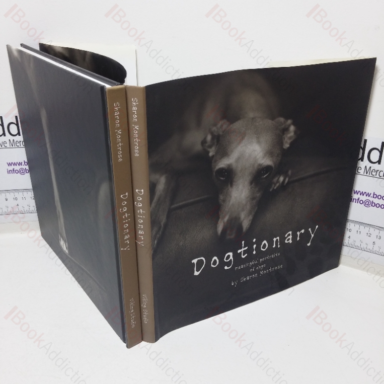 Dogtionary: Meaningful Portraits of Dogs