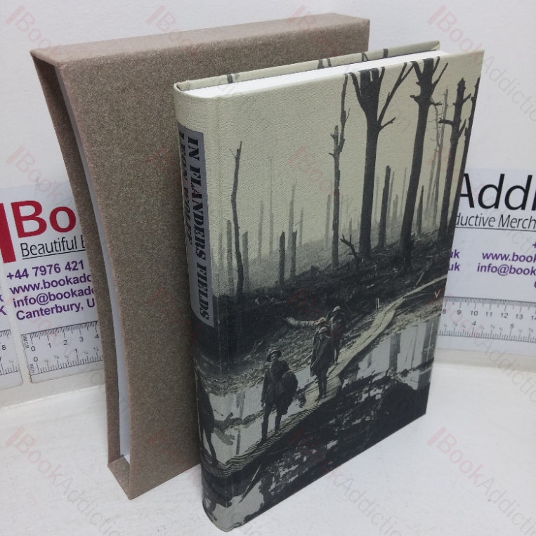 In Flanders Fields: The 1917 Campaign