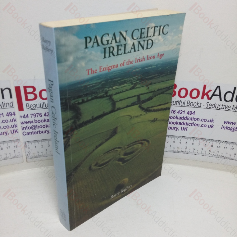 Pagan Celtic Ireland: The Enigma of the Irish Iron Age