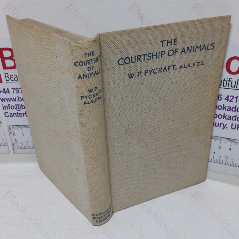 The Courtship of Animals