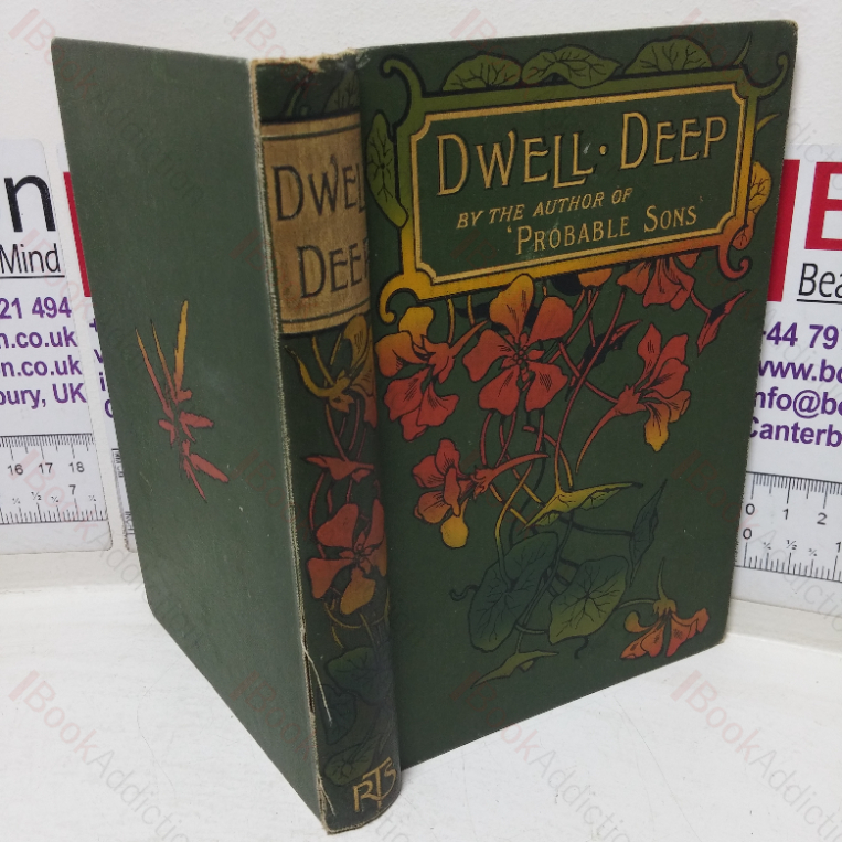 Dwell Deep, or Hilda Thorn’s Life Story