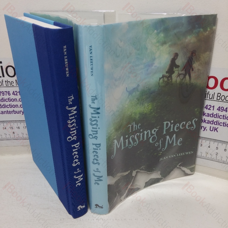 The Missing Pieces of Me