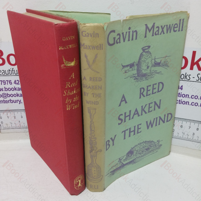 A Reed Shaken by the Wind