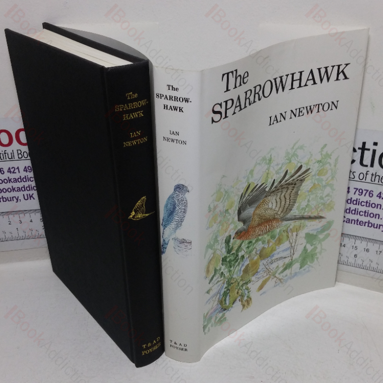The Sparrowhawk