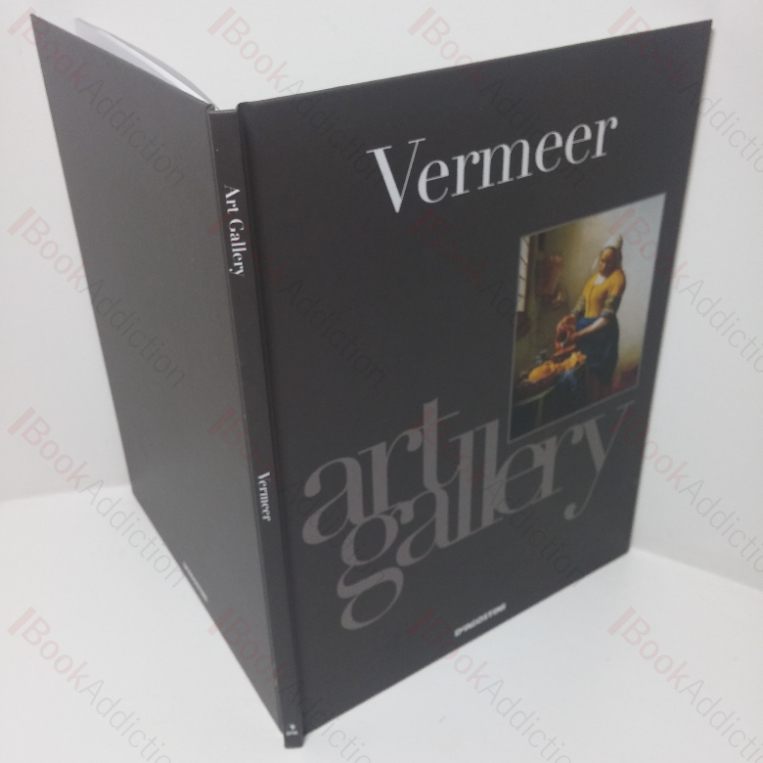 Vermeer: An Artist Against the Odds (Art Gallery series)