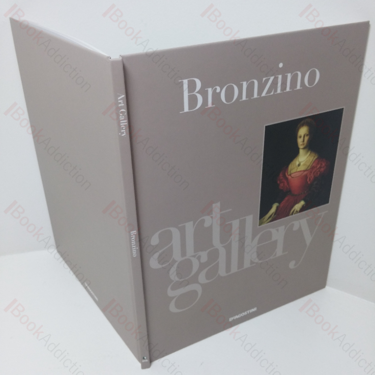 Bronzino: The Medici’s Courtly Painter (Art Gallery series)
